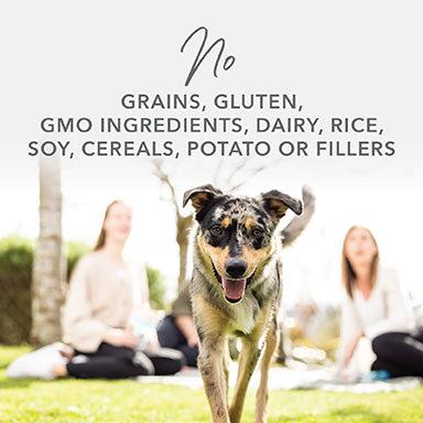 K9 Natural Grain Free Beef Wet Dog Food