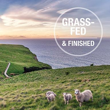 K9 Natural Grain Free Beef Wet Dog Food