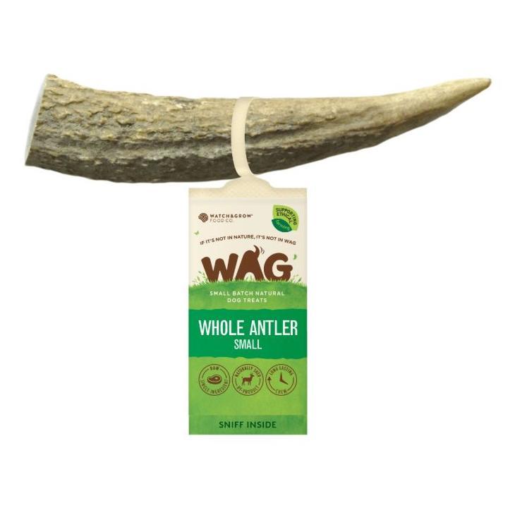 Watch and Grow  Whole Deer Antler  Naturally Shed  Long Lasting Dog Treat