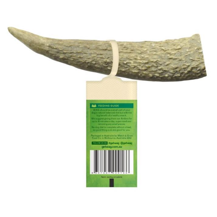 Watch and Grow  Whole Deer Antler  Naturally Shed  Long Lasting Dog Treat