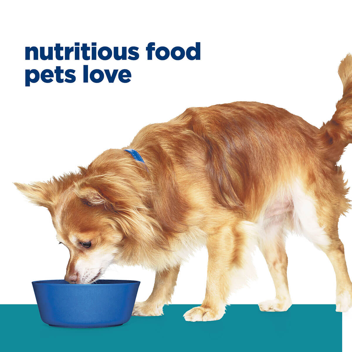 Hill's Prescription Diet T/D Dental Care Small Bites Dry Dog Food