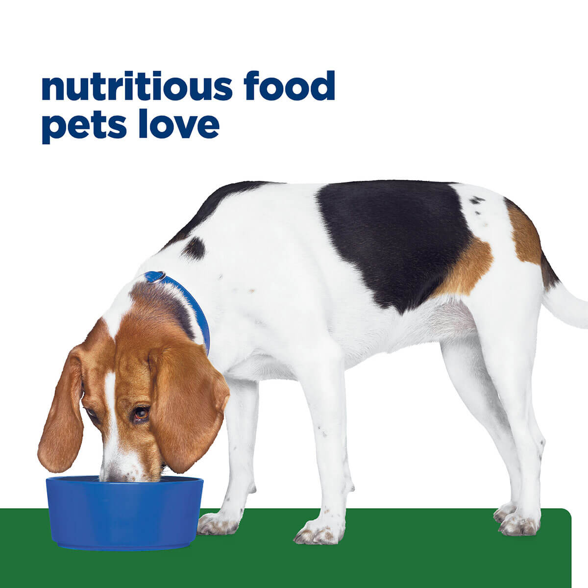 Hill's Prescription Diet R/D Weight Reduction Dry Dog Food