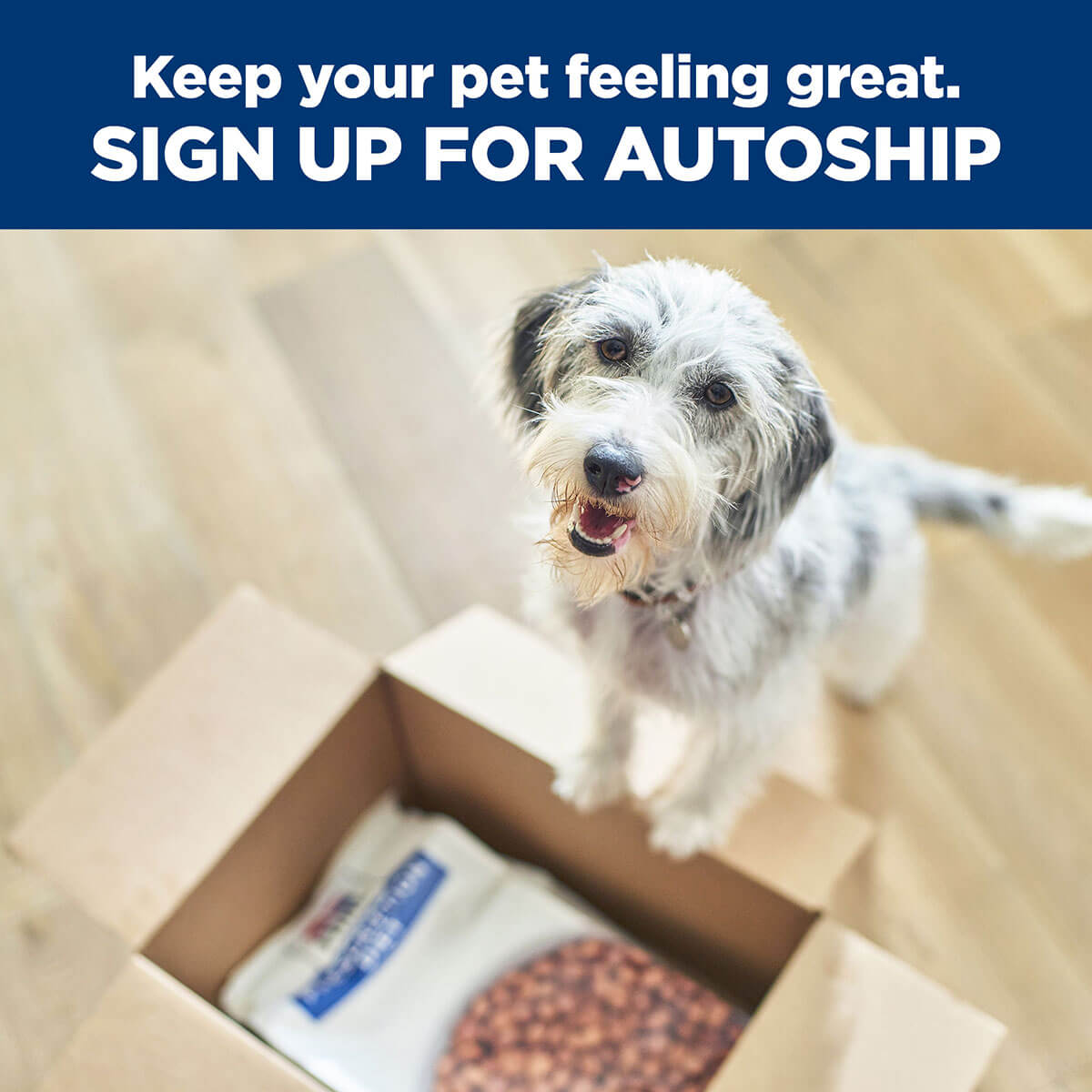 Hill's Prescription Diet R/D Weight Reduction Dry Dog Food