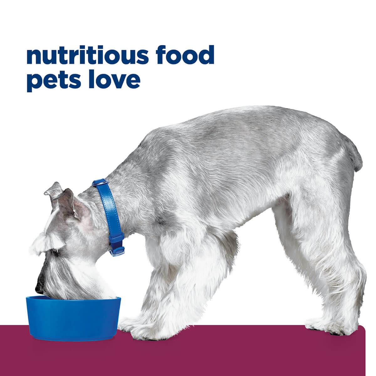 Hill's Prescription Diet I/D Low Fat Digestive Care Dry Dog Food