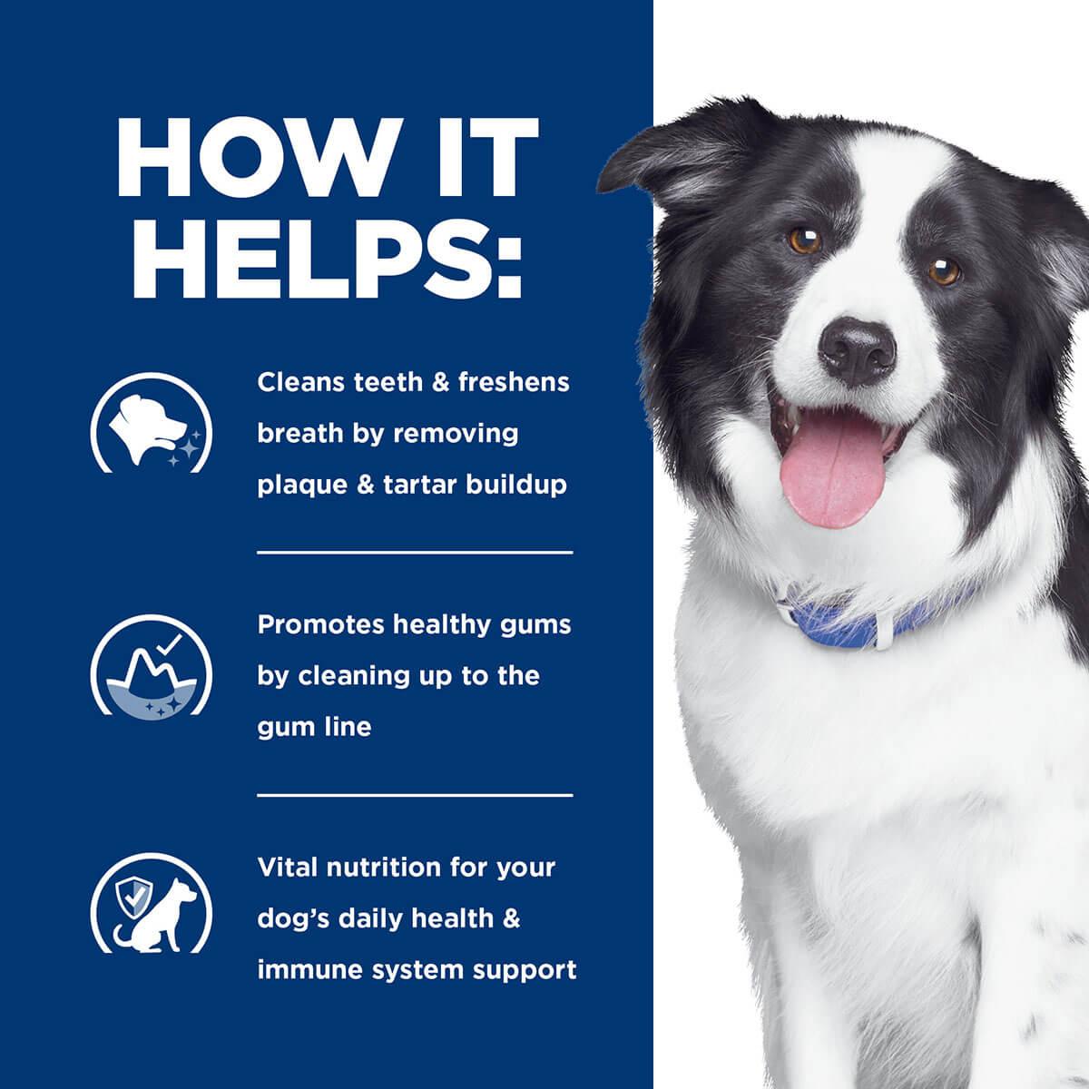 Hill's Prescription Diet T/D Dental Care Dry Dog Food