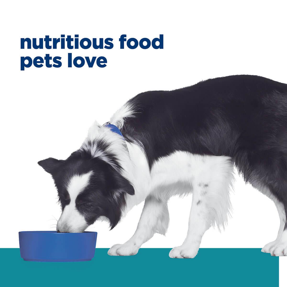 Hill's Prescription Diet T/D Dental Care Dry Dog Food