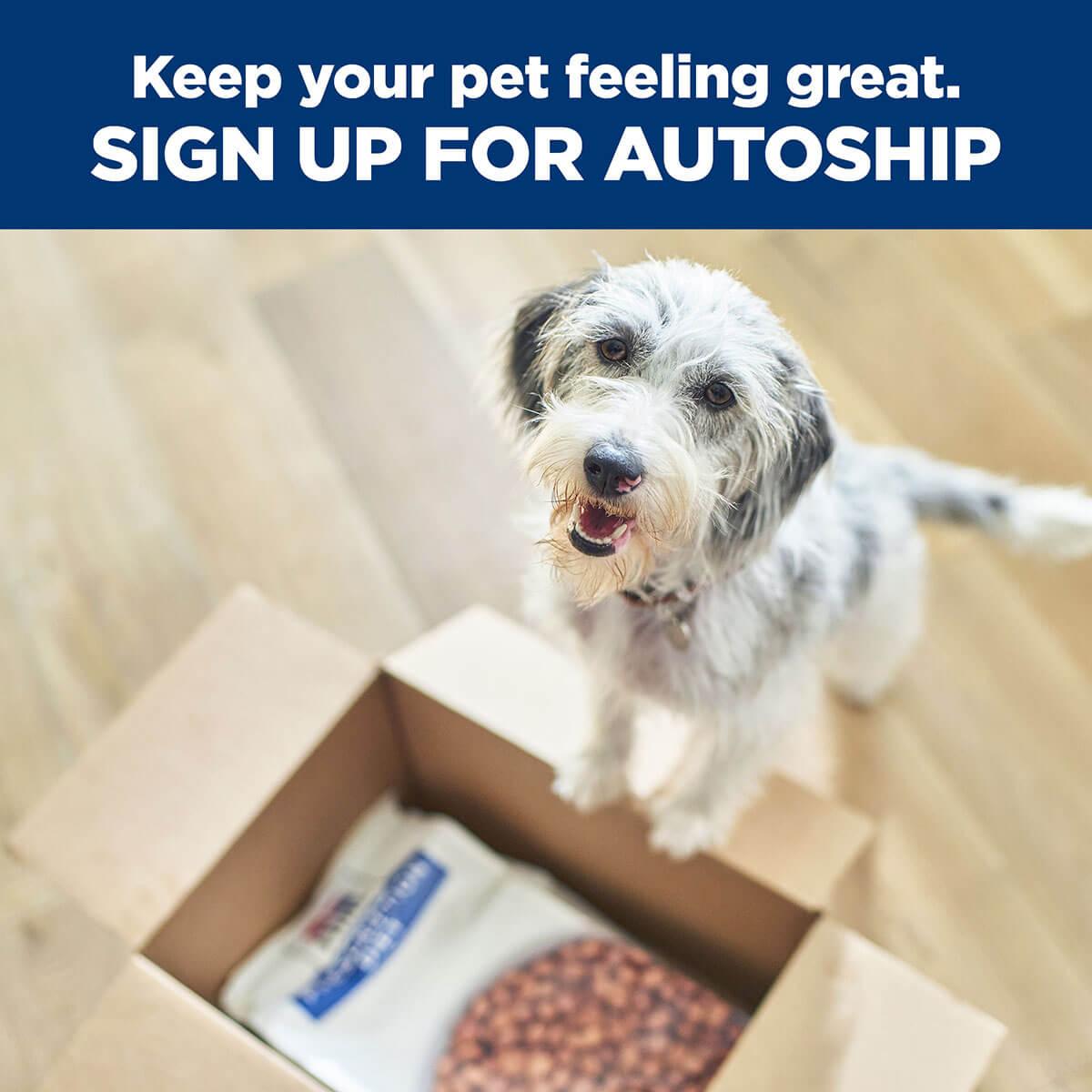 Hill's Prescription Diet T/D Dental Care Dry Dog Food