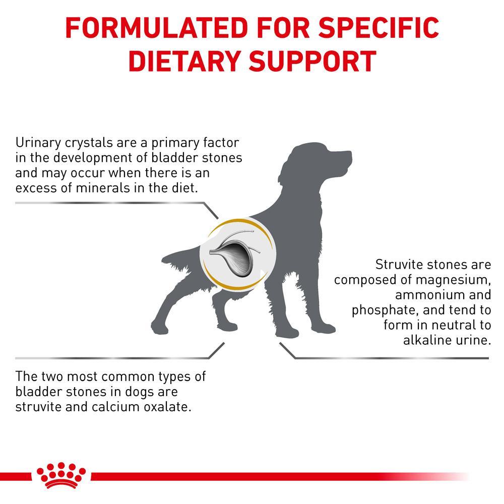 Royal Canin VET Urinary S/O Dry Dog Food