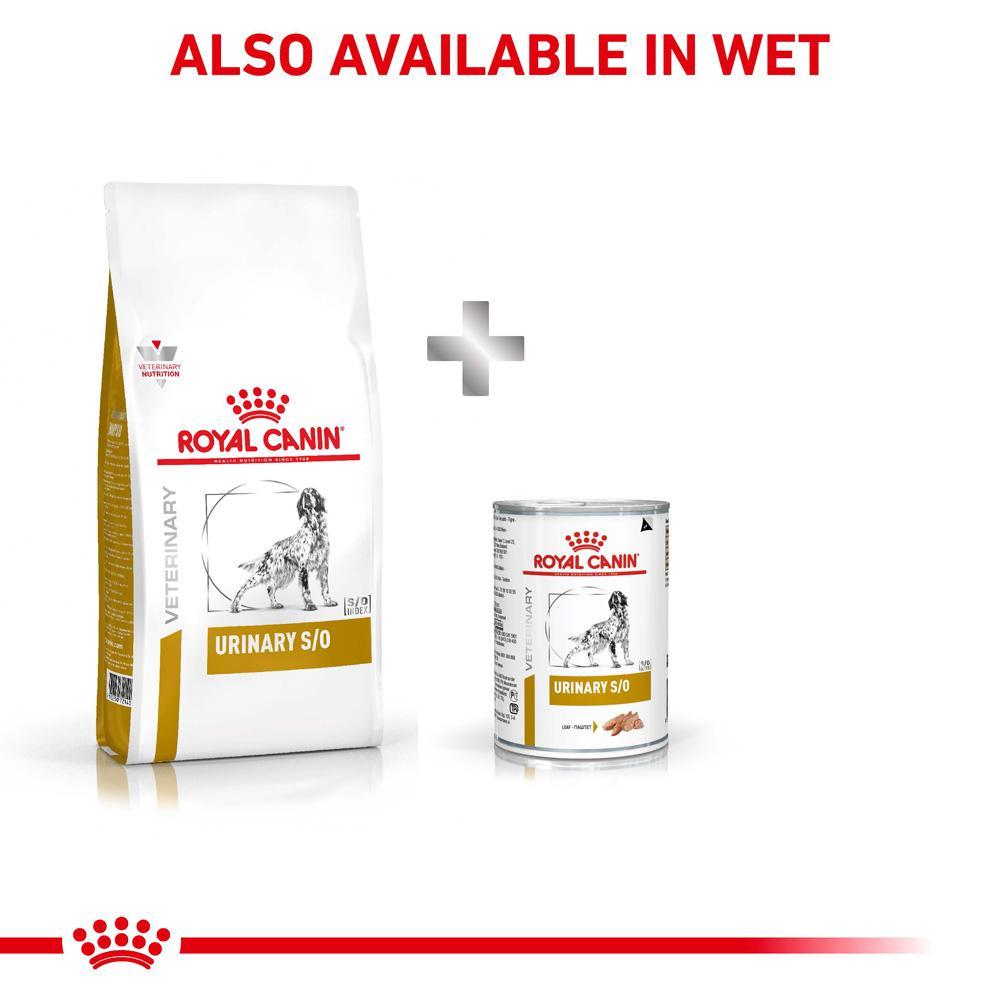 Royal Canin VET Urinary S/O Dry Dog Food