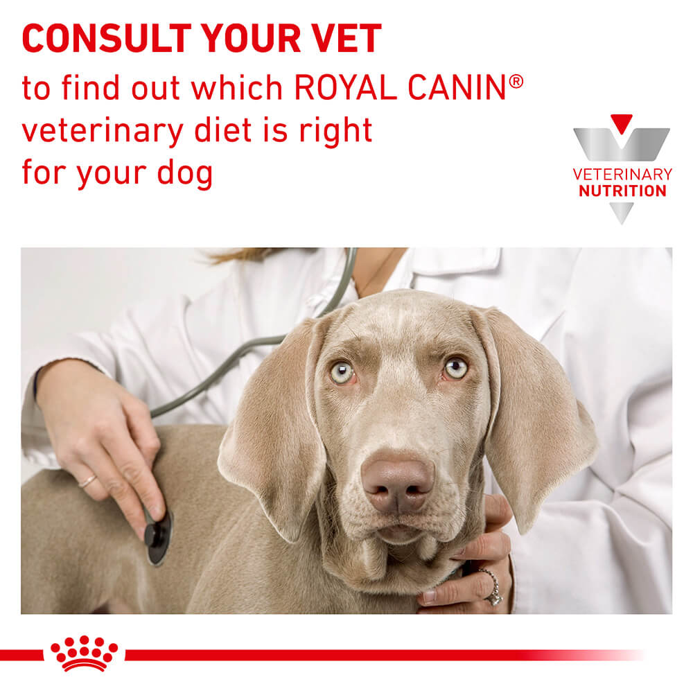Royal Canin VET Skin Support Dry Dog Food