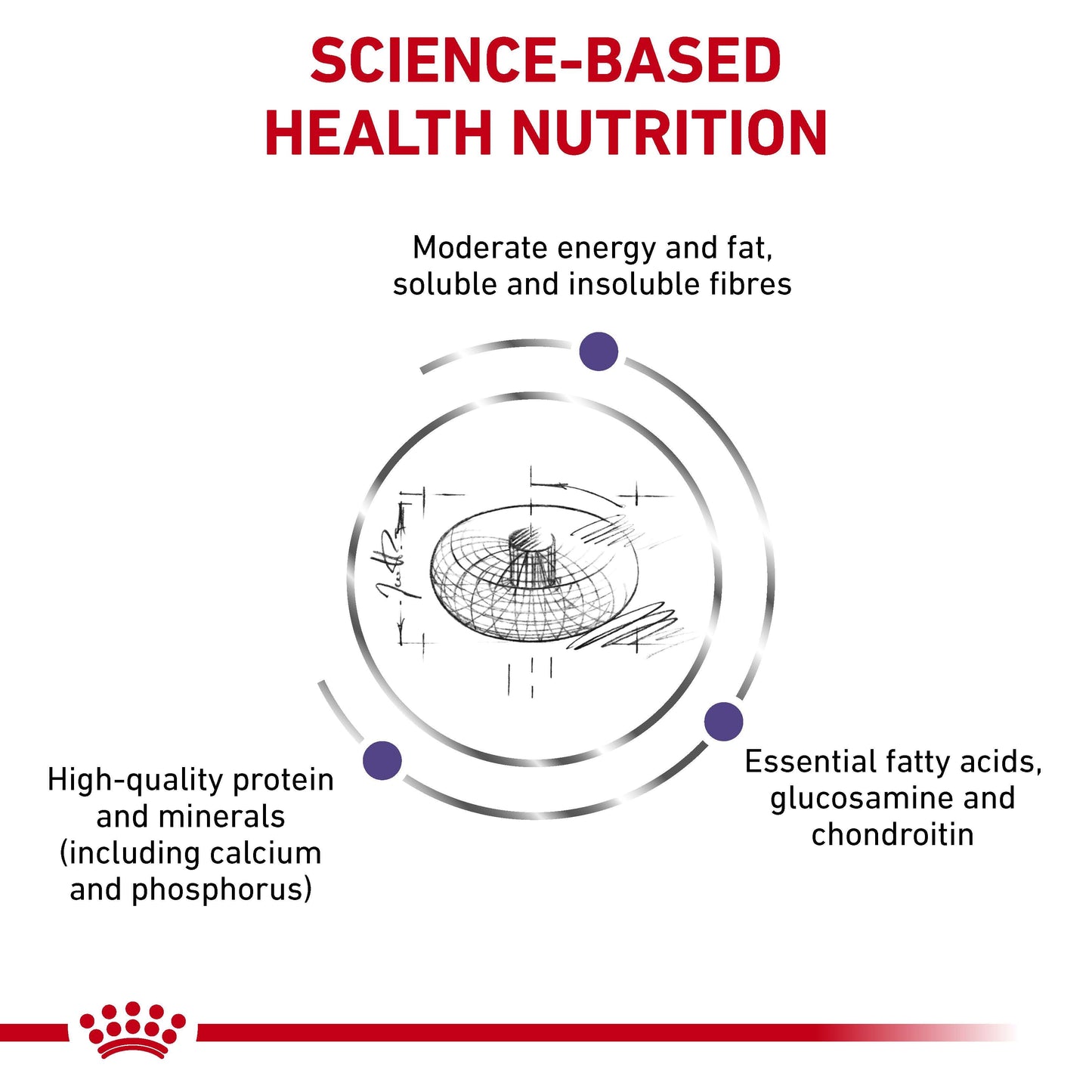 Royal Canin VET Neutered Large Breed Junior Dry Dog Food