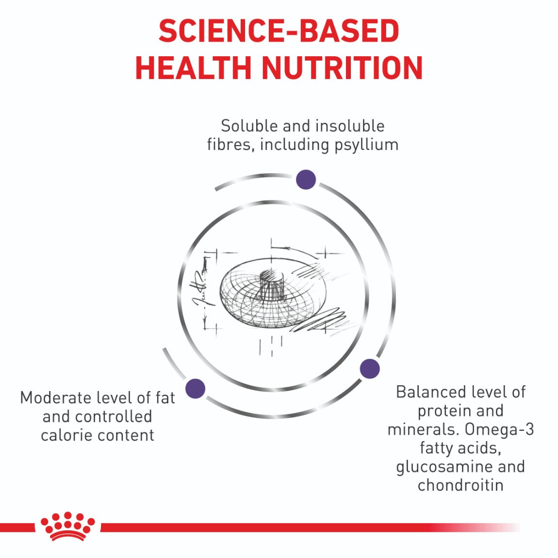 Royal Canin VET Neutered Large Breed Dry Dog Food