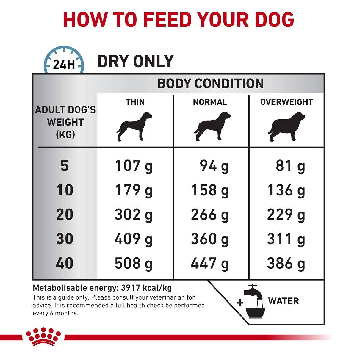 Royal Canin VET Anallergenic Dry Dog Food