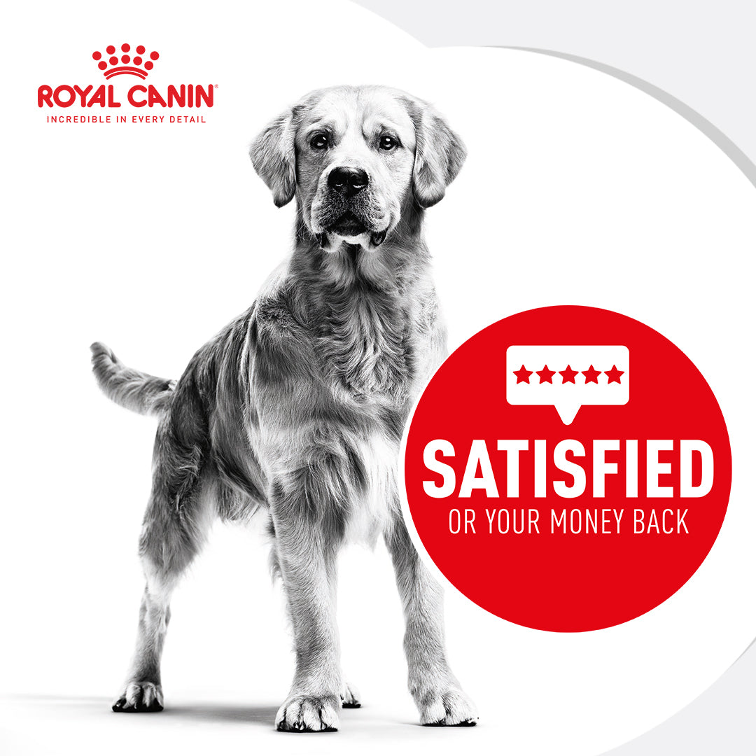 Royal Canin Veterinary Satiety Adult Wet Dog Food Cans