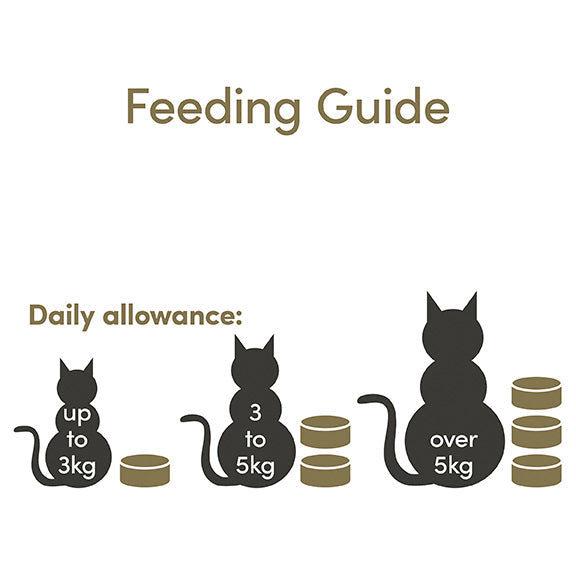 Applaws Tuna Fillet Wet Cat Food