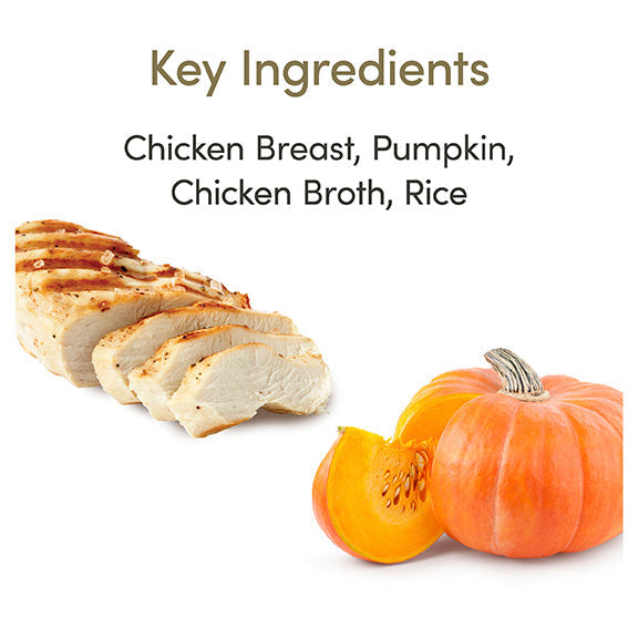 Applaws Chicken & Pumpkin Pouch Wet Cat Food