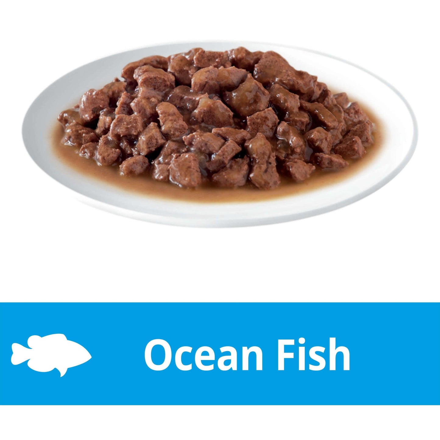 Dine Daily Variety Saucy Morsels & Ocean Fish Wet Cat Food Tray