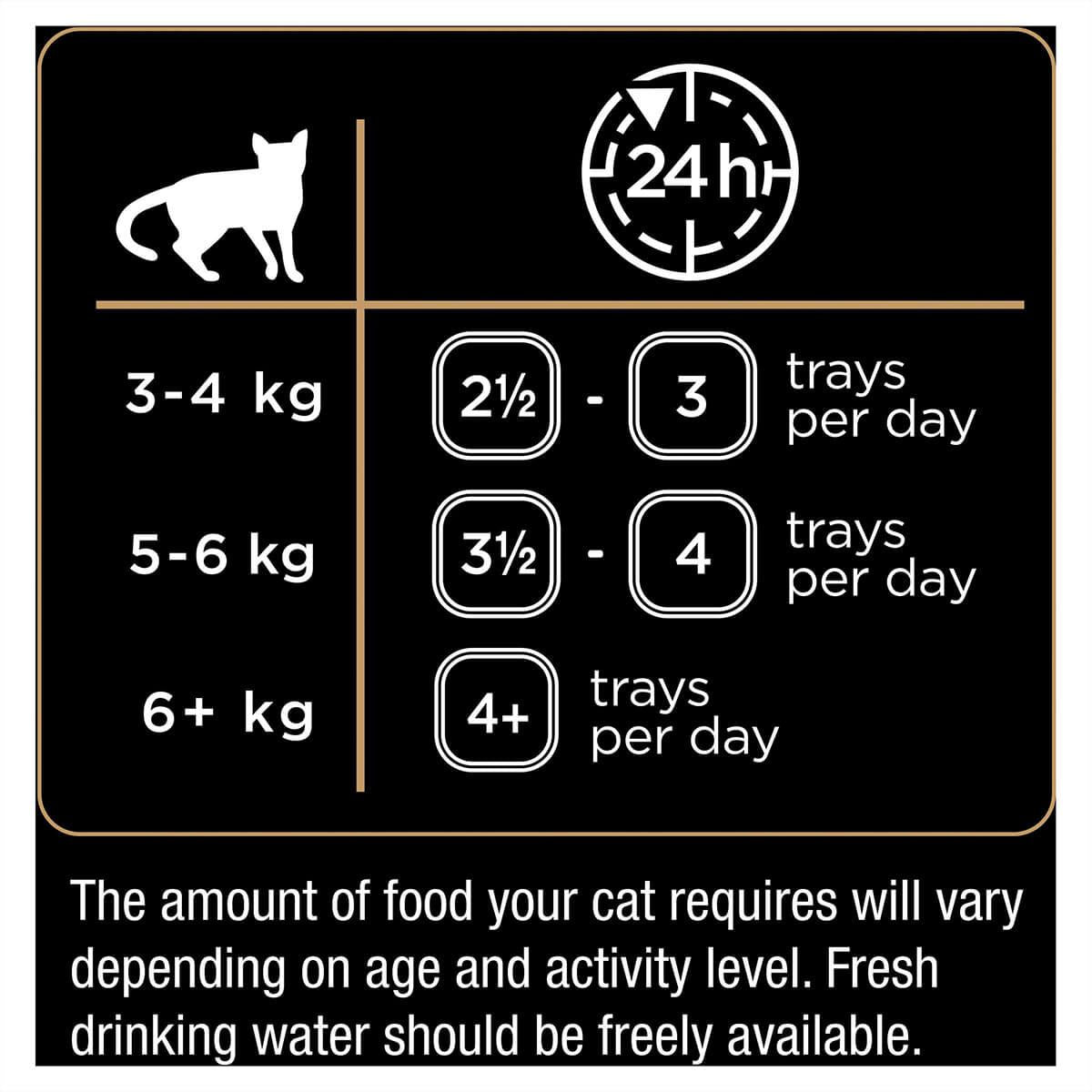 Dine Daily Variety Saucy Morsels & Salmon Wet Cat Food Tray