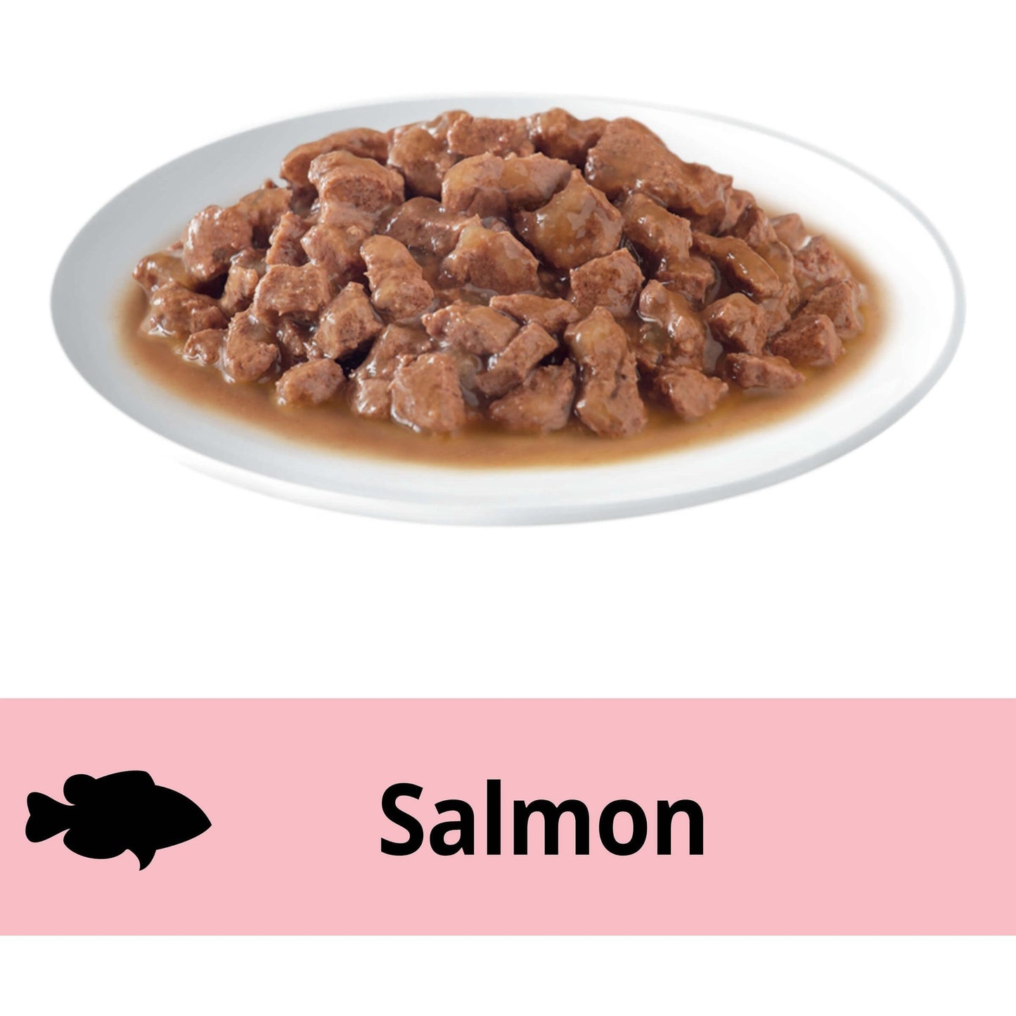 Dine Daily Variety Saucy Morsels & Salmon Wet Cat Food Tray