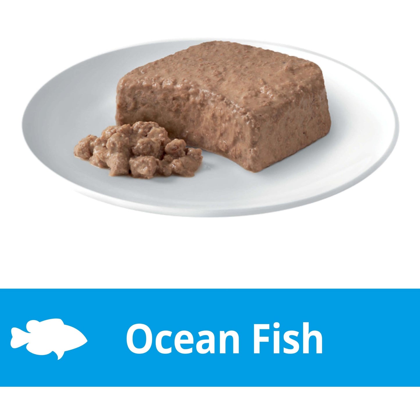 Dine Kitten Steamed Ocean Fish Wet Cat Food