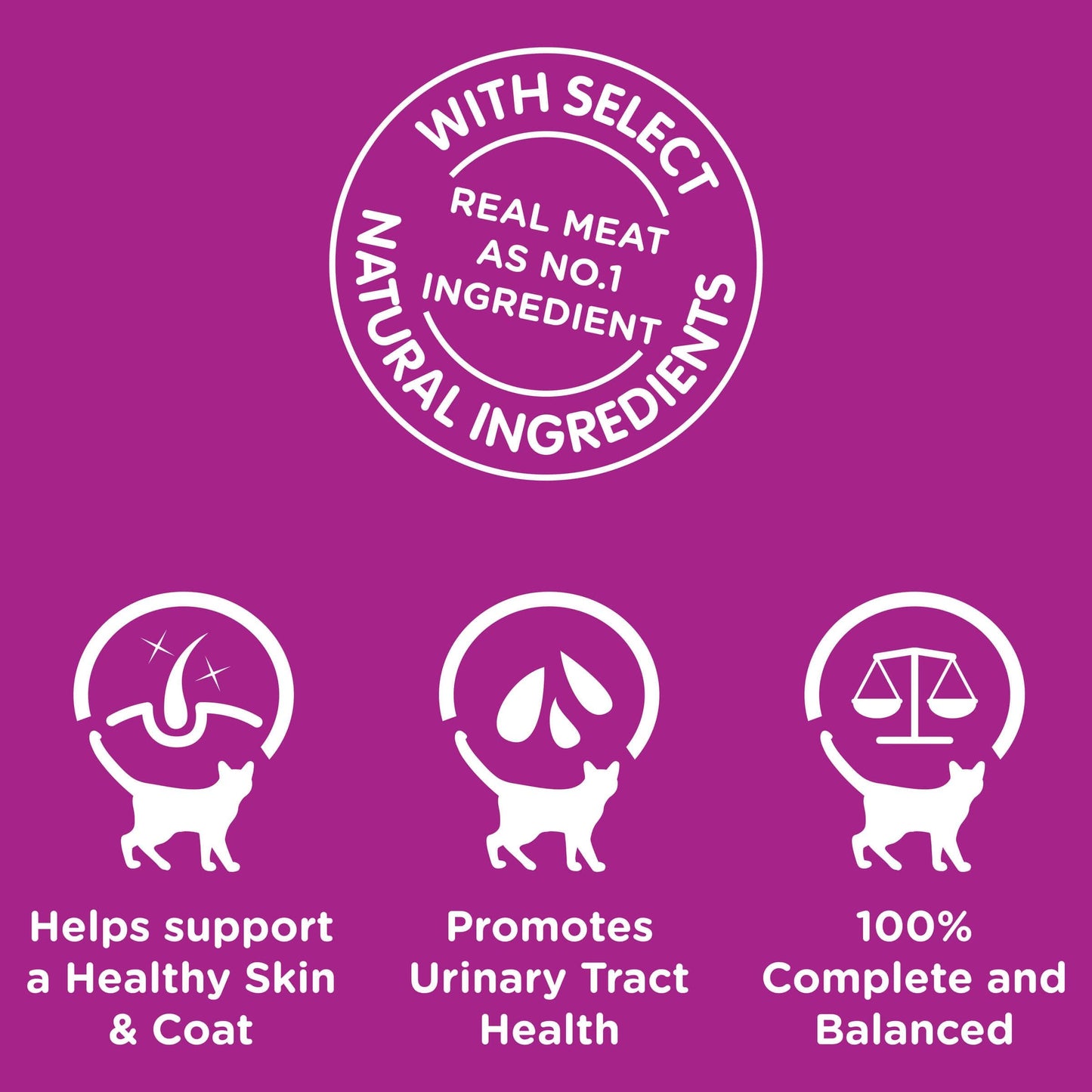 Whiskas Adult So Meaty Meat Cuts Gravy Wet Cat Food