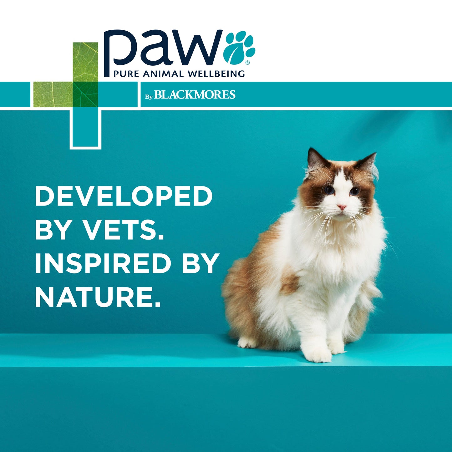PAW Osteosupport Joint Care Powder For Cats