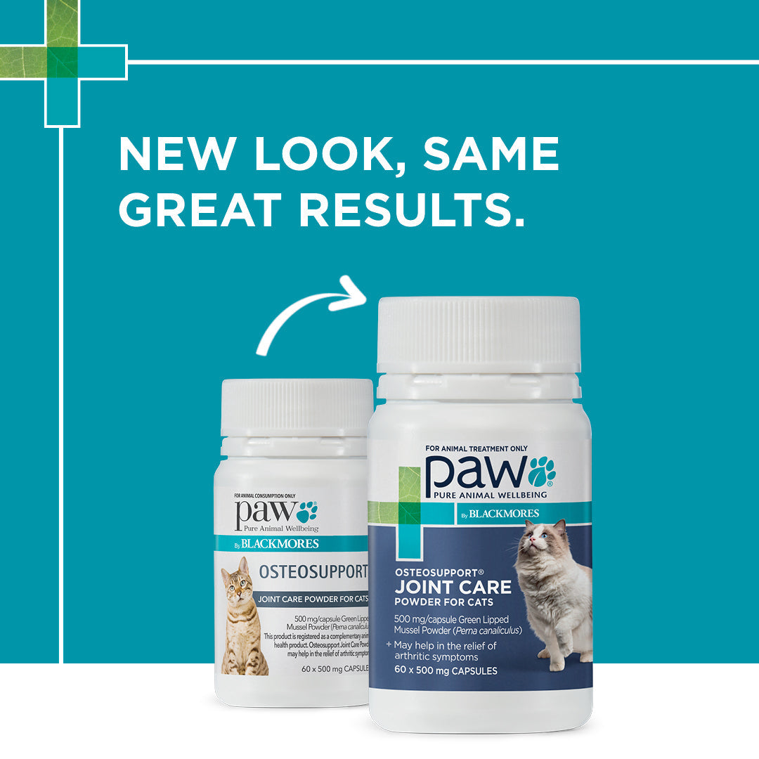 PAW Osteosupport Joint Care Powder For Cats