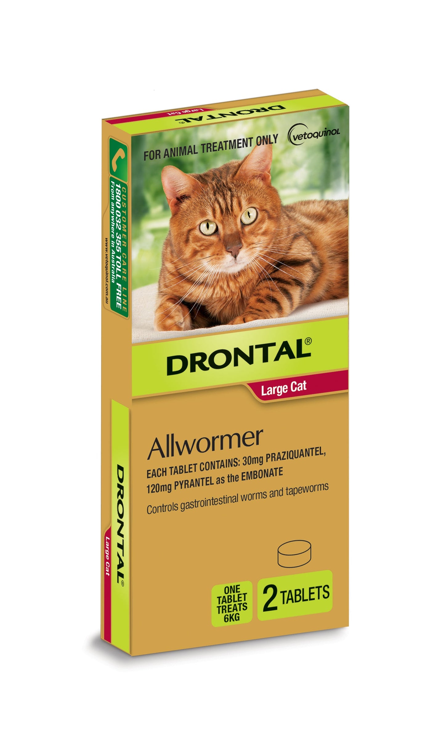 Drontal Ellipsoid Allwormer 6kg Large Cats