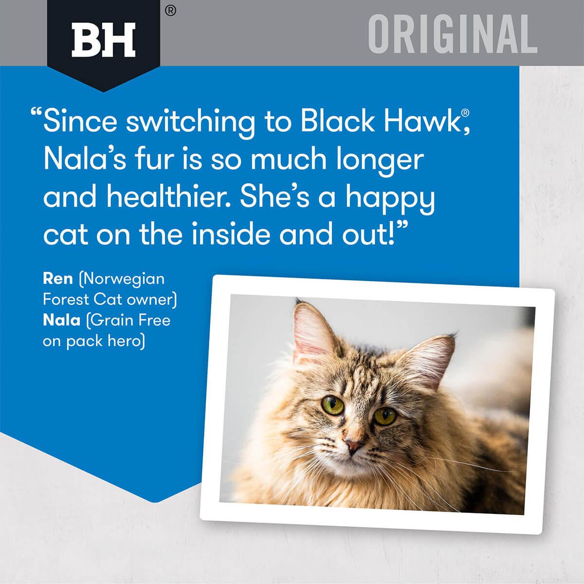 Black Hawk Original Adult Fish Dry Cat Food