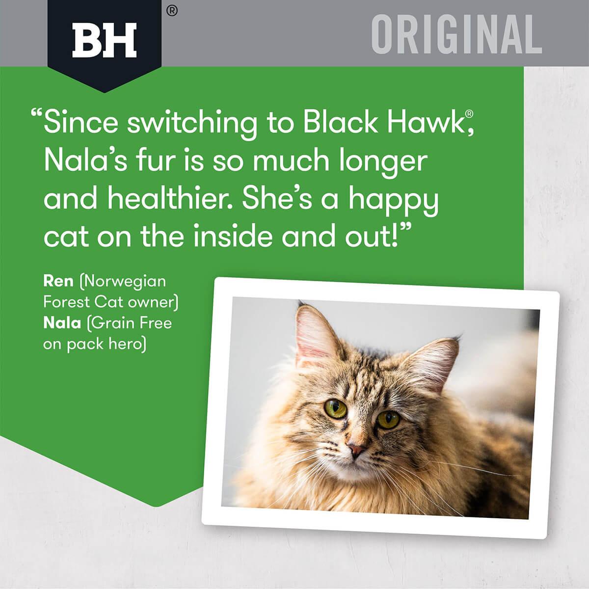 Black Hawk Original Adult Chicken Dry Cat Food