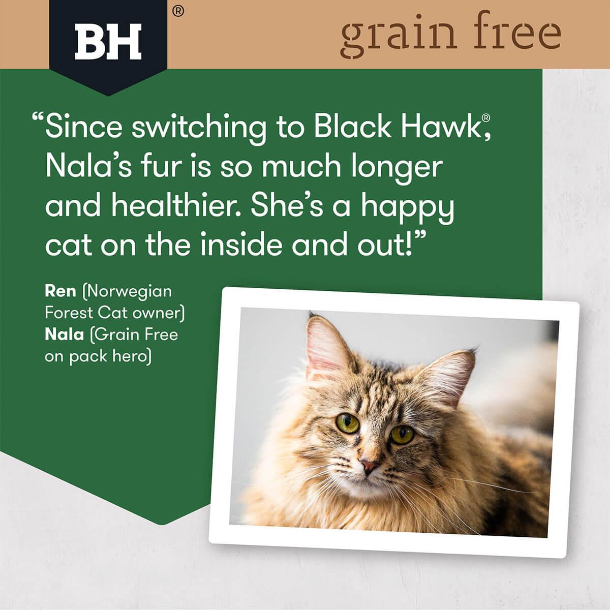 Black Hawk Grain Free Adult Chicken & Turkey Dry Cat Food