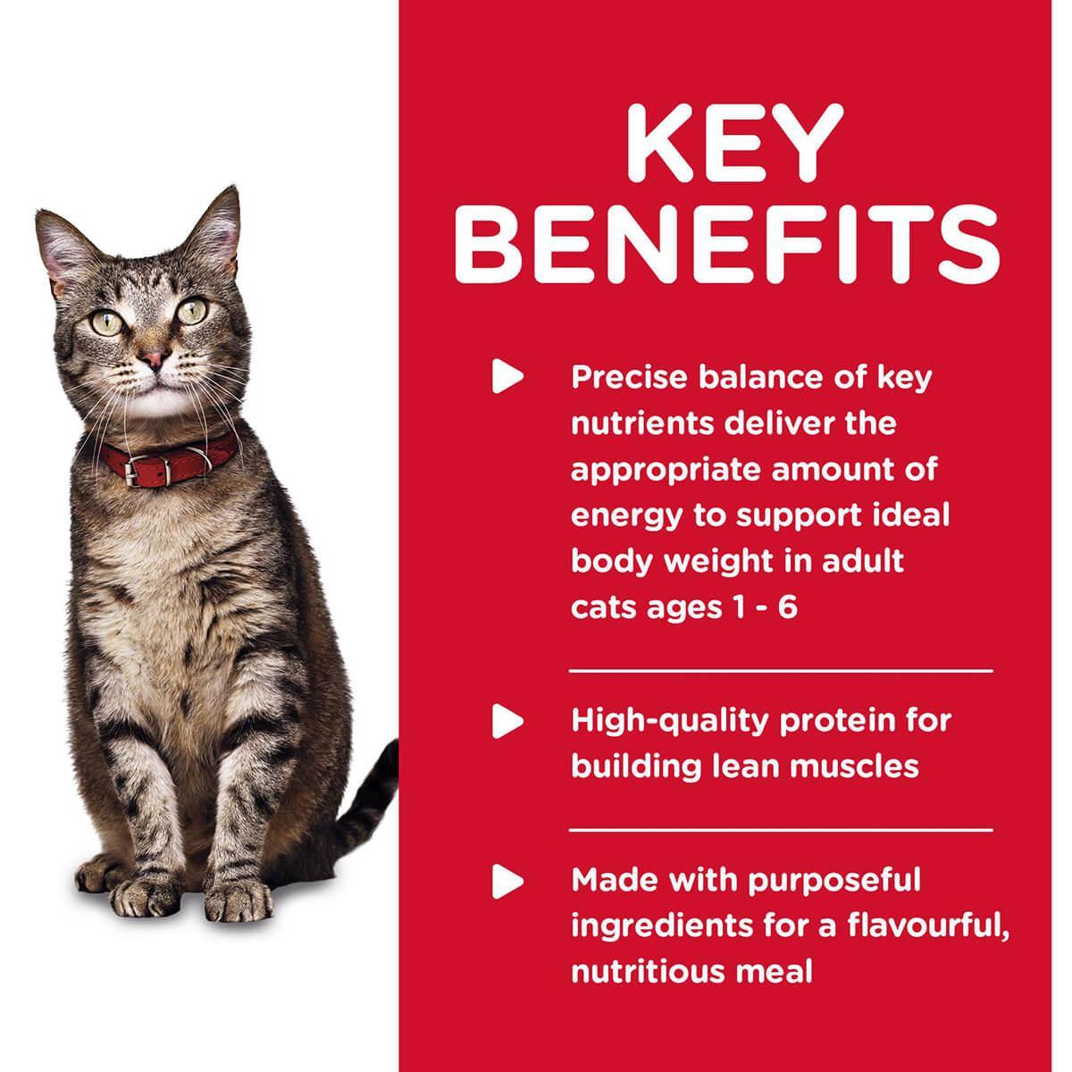 Hill's Science Diet Tender Dinners Adult Chicken Wet Cat Food