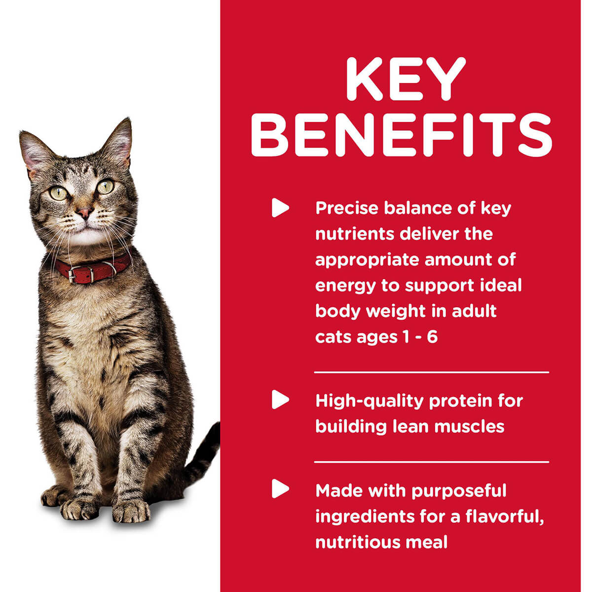 Hill's Science Diet Tender Dinners Adult Tuna Wet Cat Food