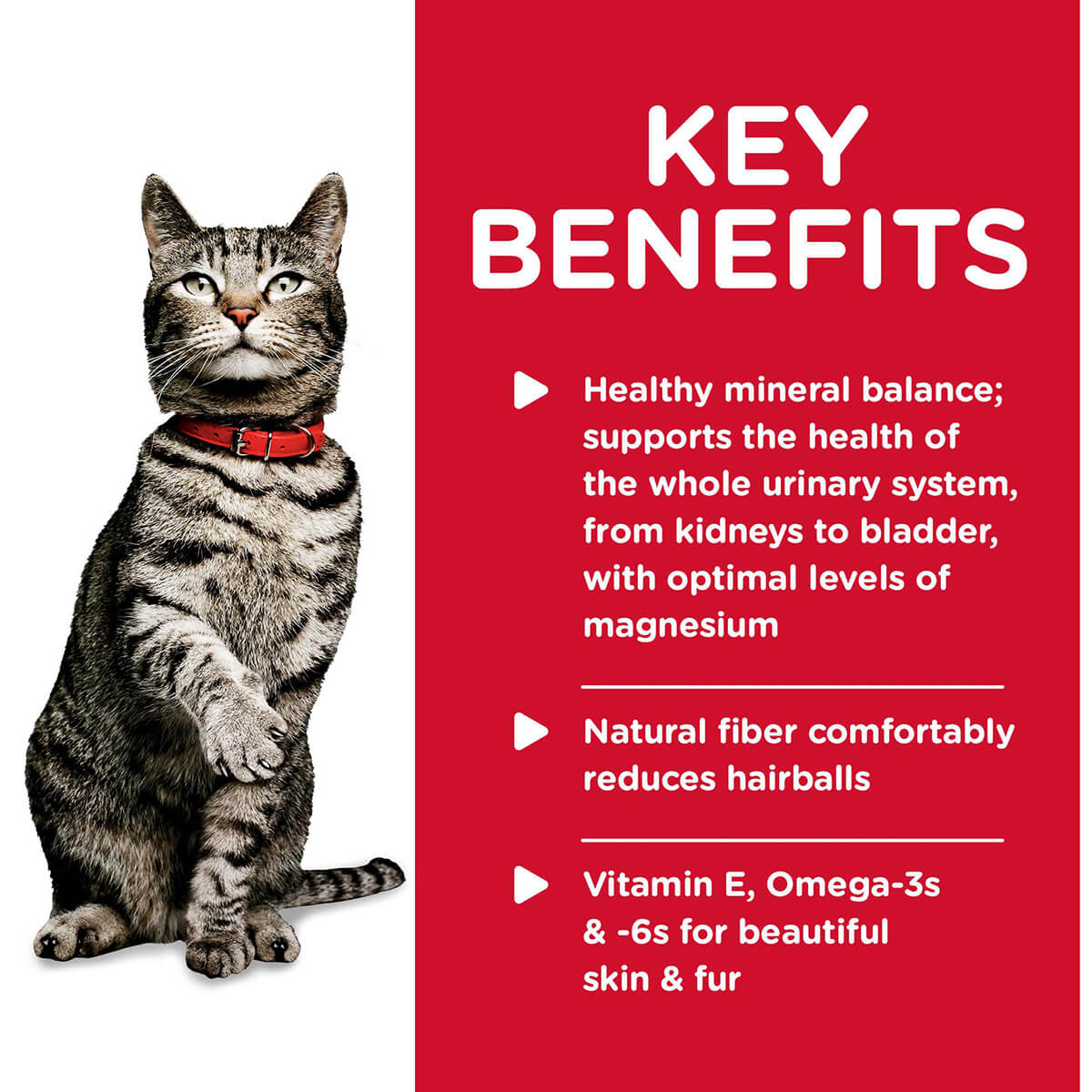 Hill's Science Diet Urinary Hairball Control Adult Chicken Wet Cat Food 82g