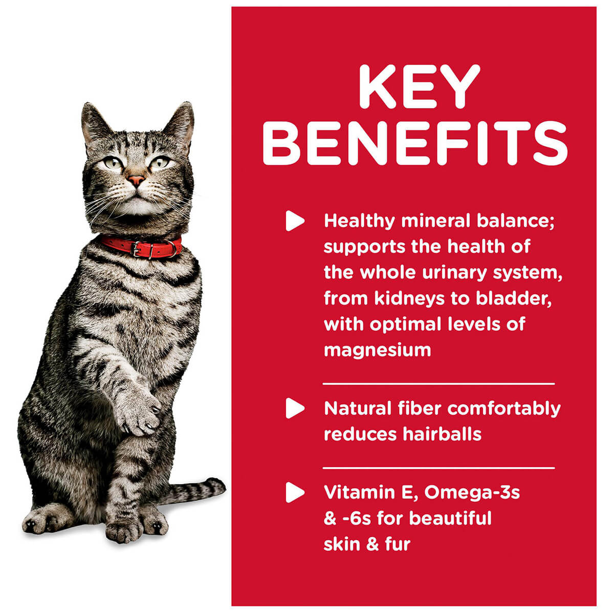 Hill's Science Diet Urinary Hairball Control Adult Ocean Fish Pouches Wet Cat Food 85g