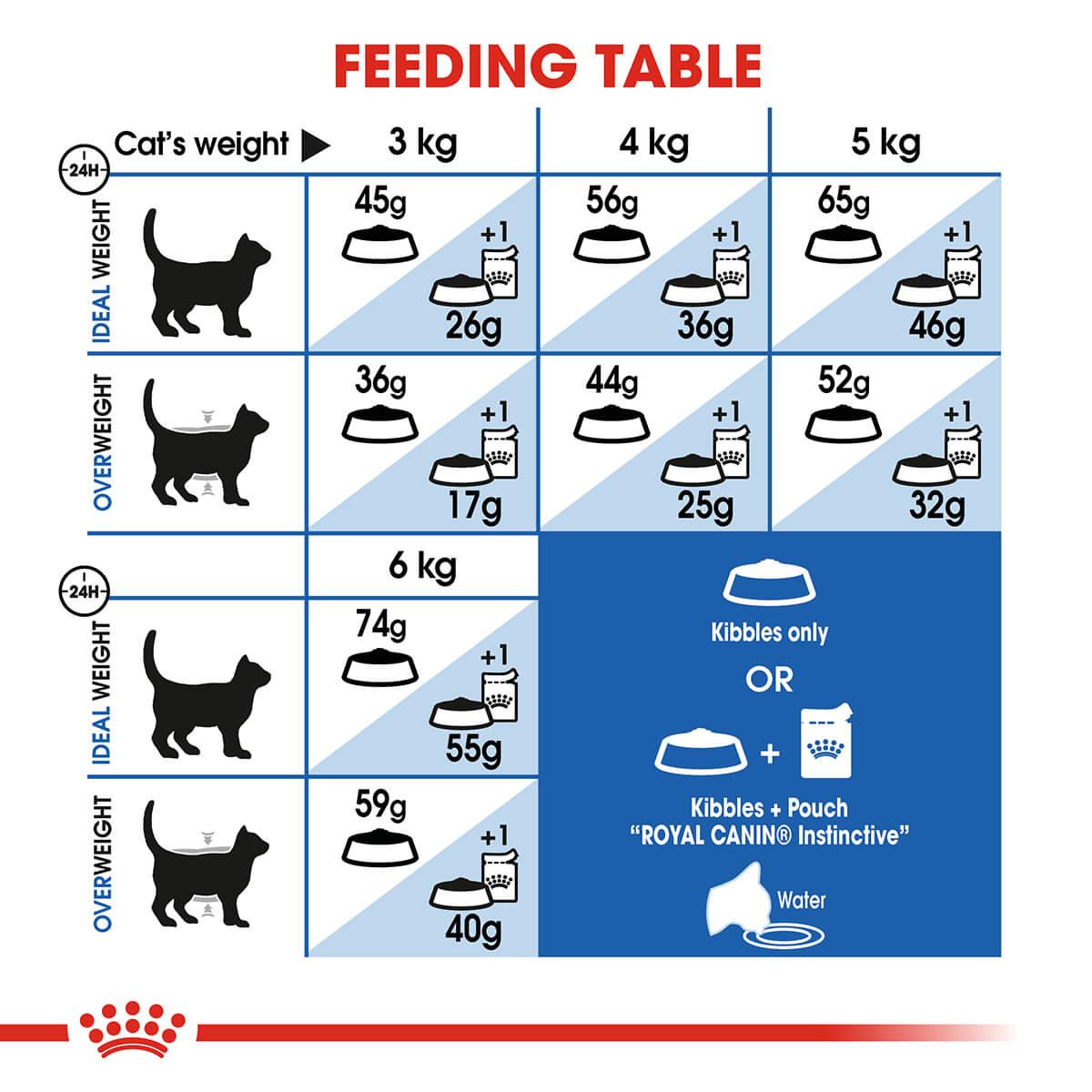 Royal Canin Indoor Adult Dry Cat Food