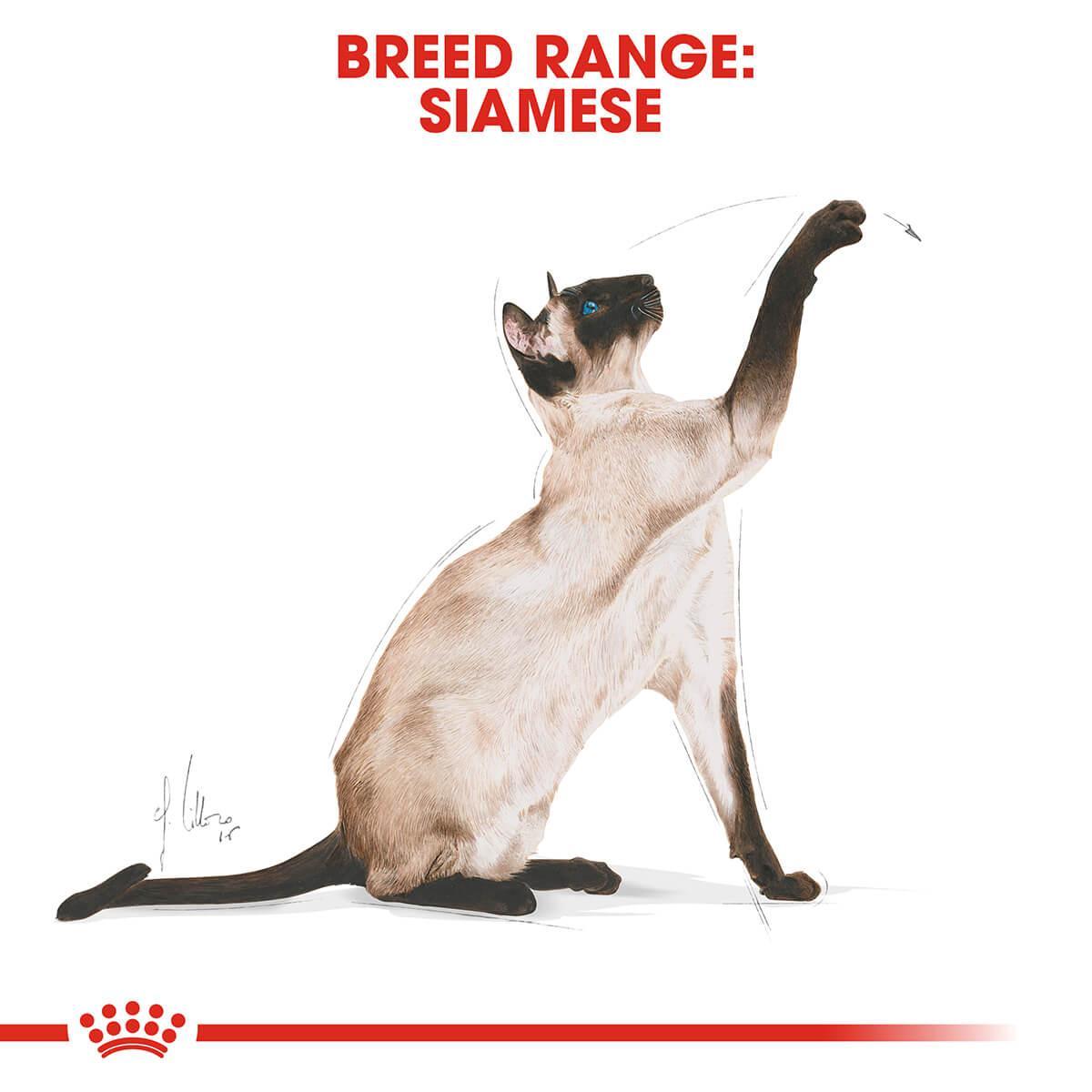 Royal Canin Siamese Adult Dry Cat Food