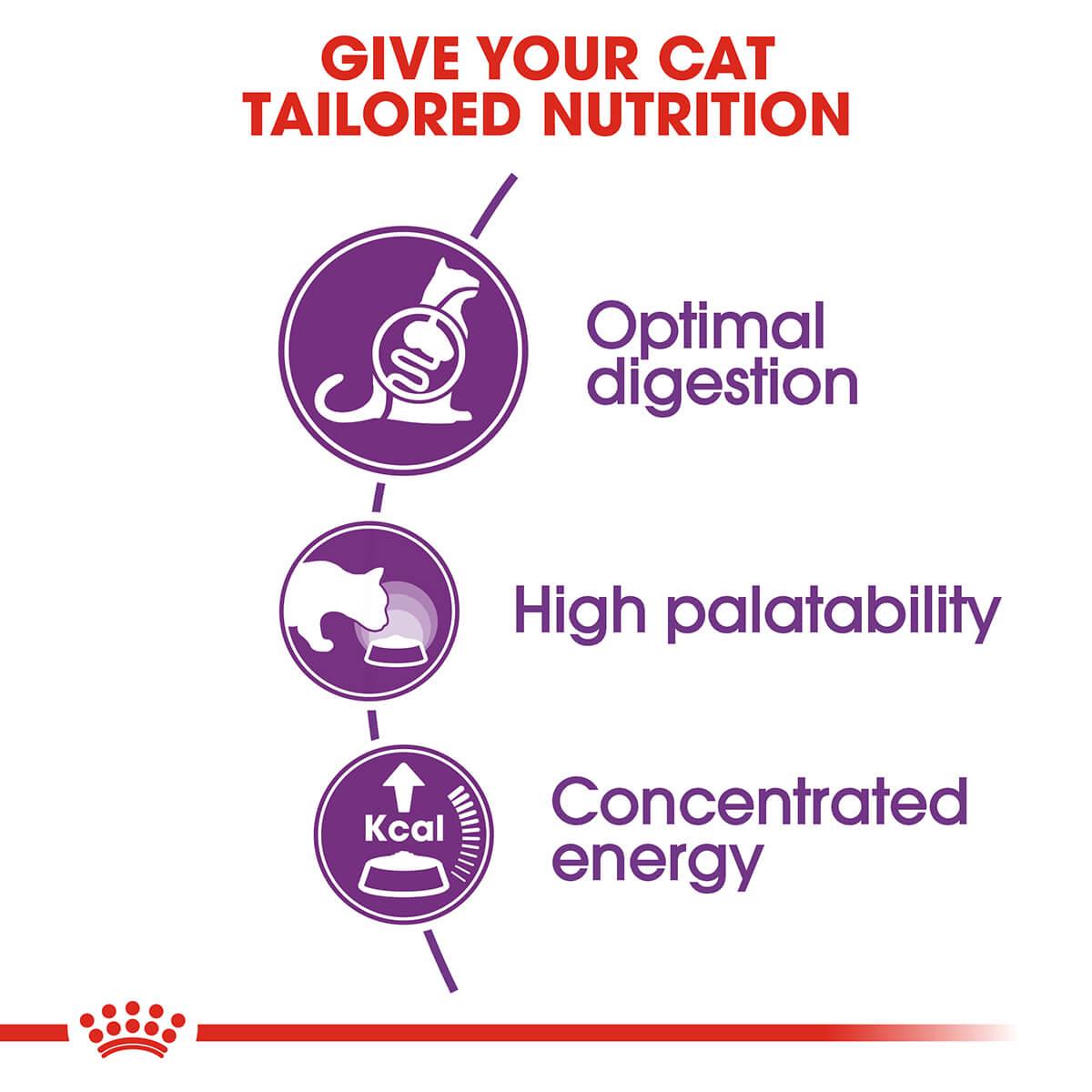 Royal Canin Sensible Digestion Adult Dry Cat Food