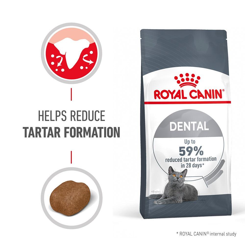 Royal Canin Oral Sensitive Dental Adult Dry Cat Food