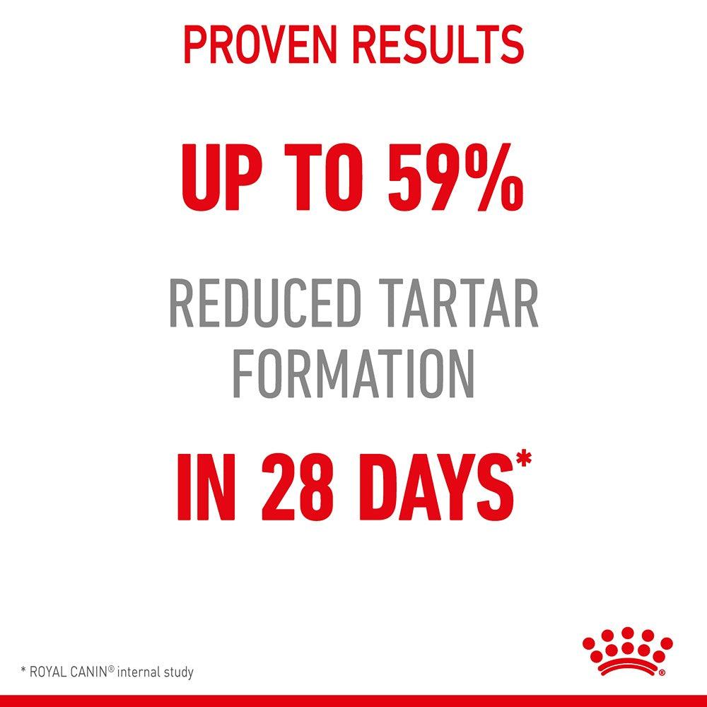 Royal Canin Oral Sensitive Dental Adult Dry Cat Food