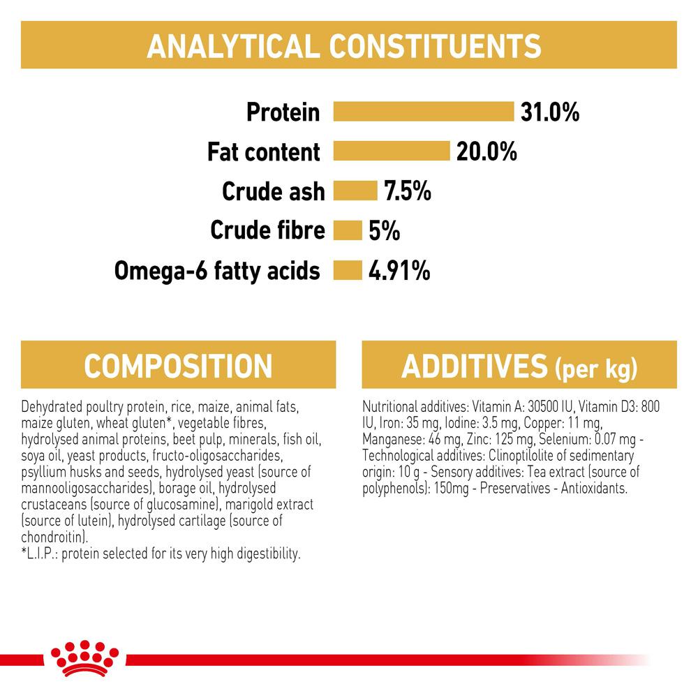 Royal Canin Maine Coon Dry Cat Food