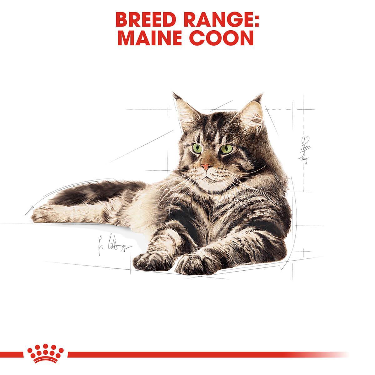 Royal Canin Maine Coon Dry Cat Food