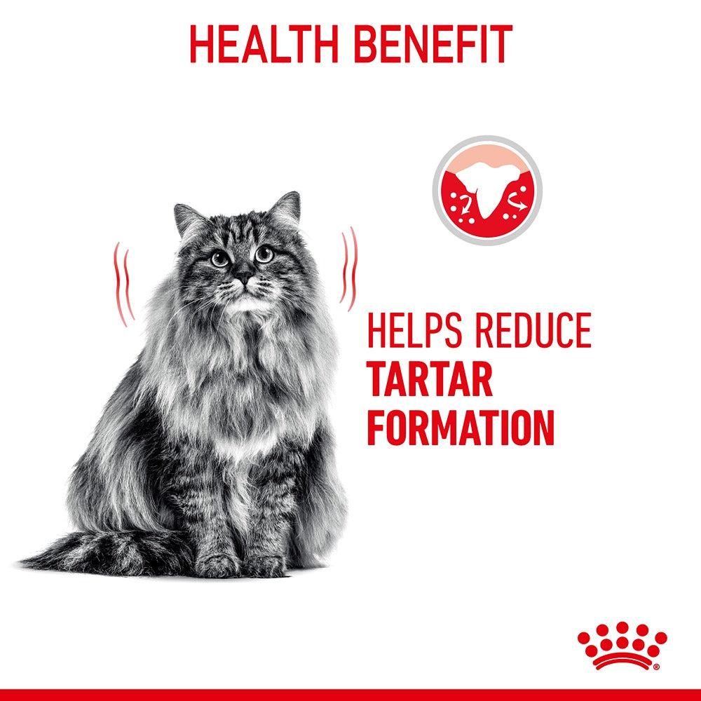Royal Canin Oral Sensitive Dental Adult Dry Cat Food