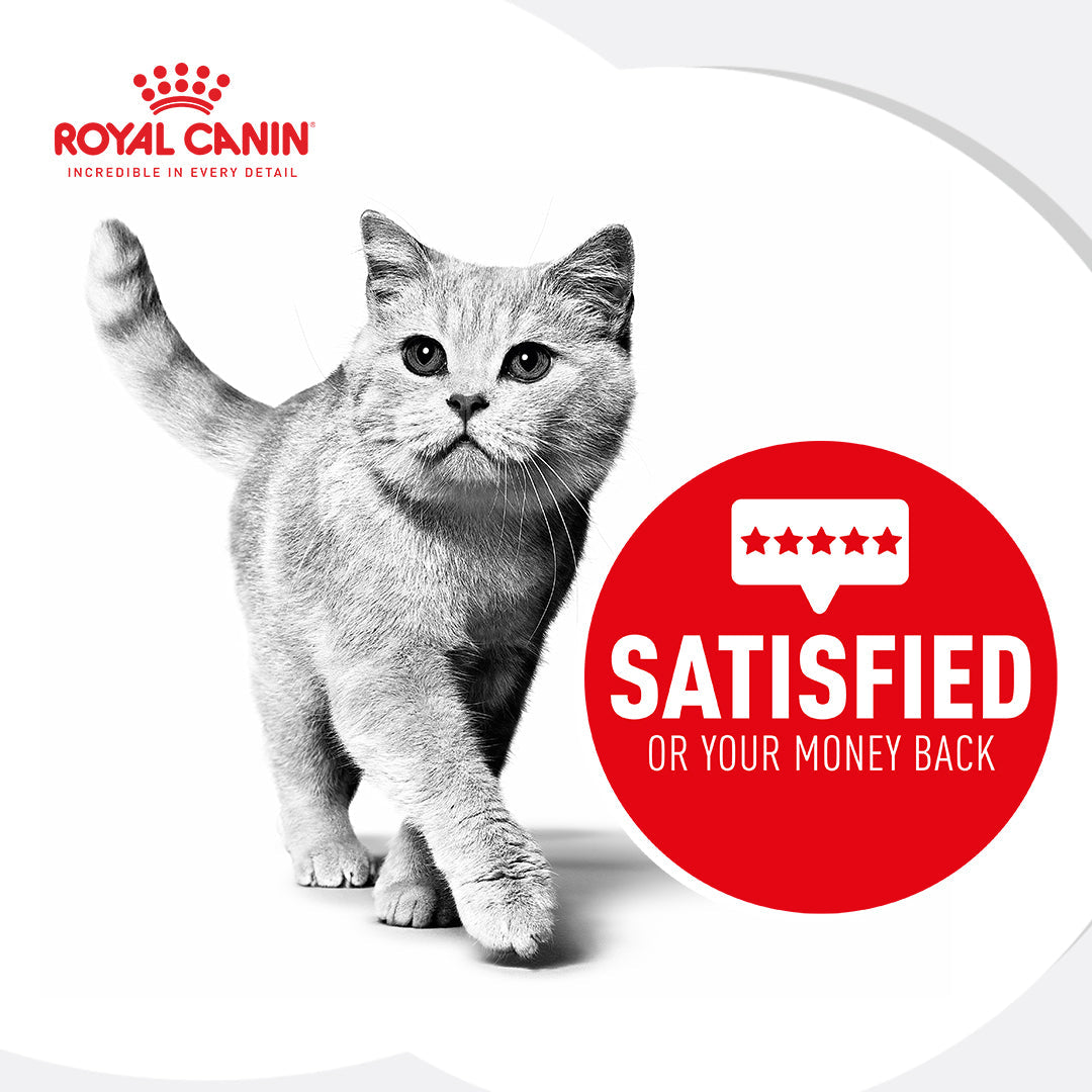 Royal Canin Instinctive Adult In Gravy Wet Cat Food