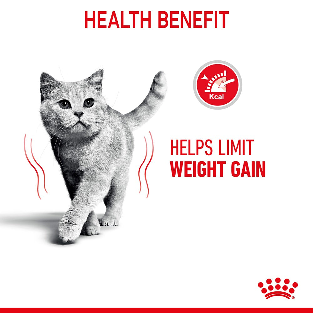 Royal Canin Light Weight Care Jelly Adult Wet Cat Food 85g
