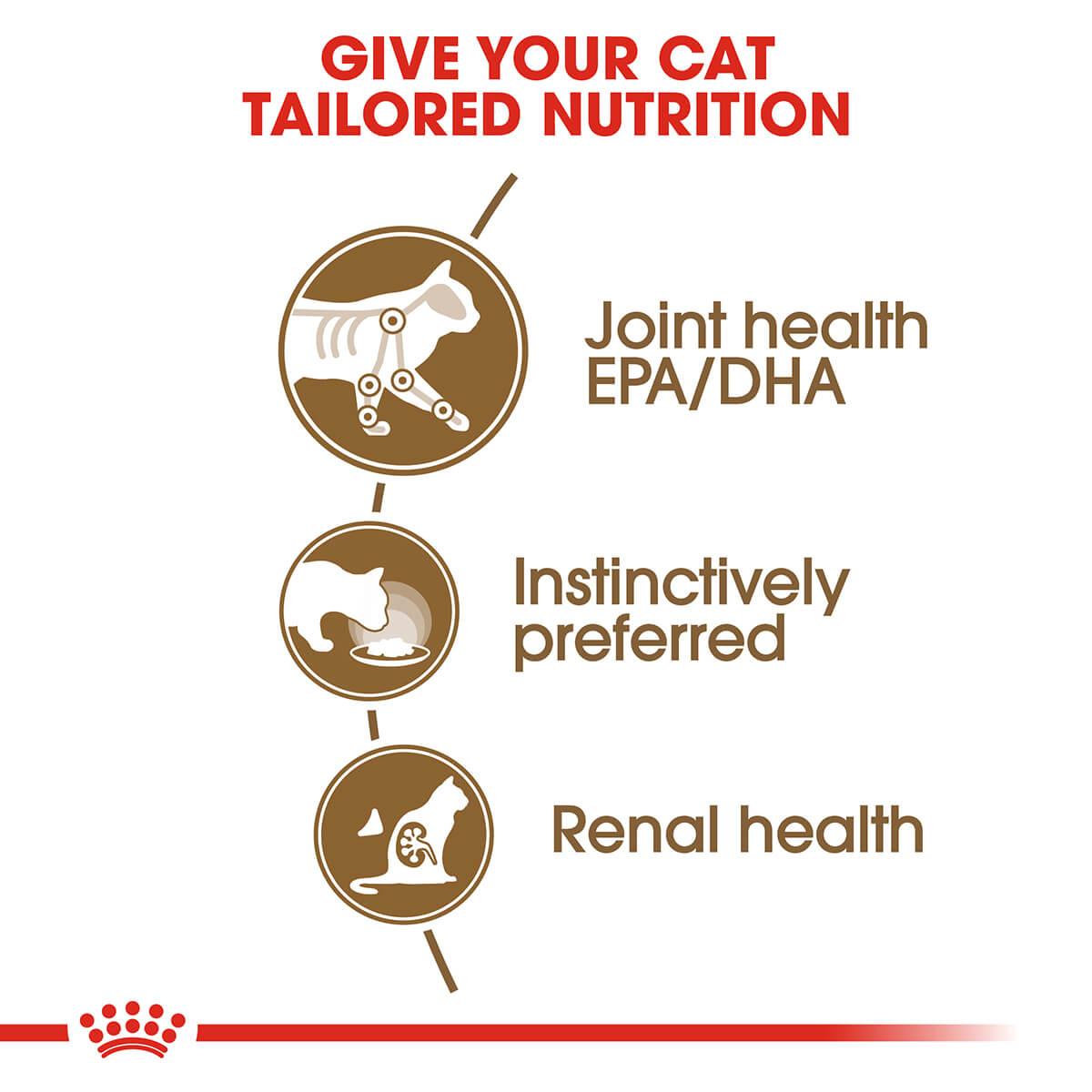Royal Canin Ageing 12+ Senior In Jelly Wet Cat Food