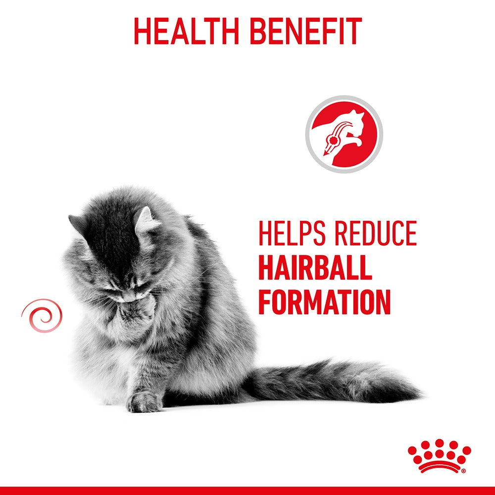 Royal Canin Hairball Care Gravy Adult Wet Cat Food 85g