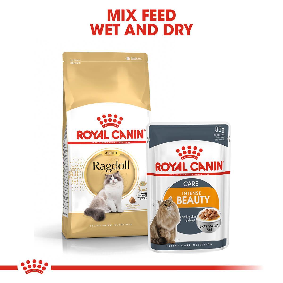 Royal Canin Ragdoll Adult Dry Cat Food