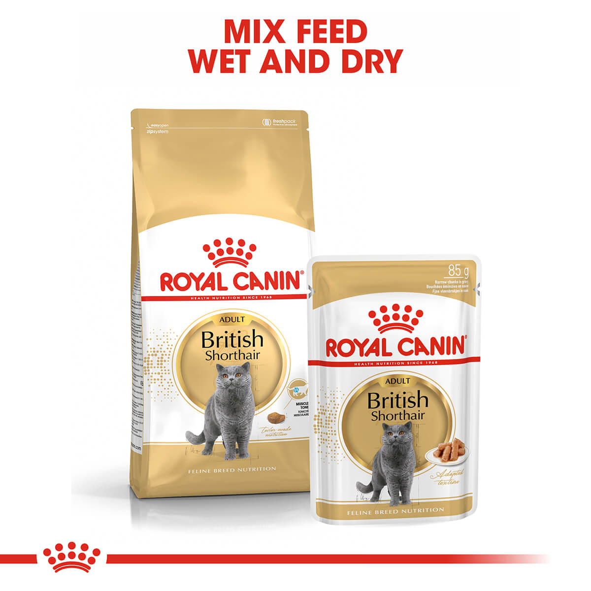Royal Canin British Shorthair Adult In Gravy Wet Cat Food