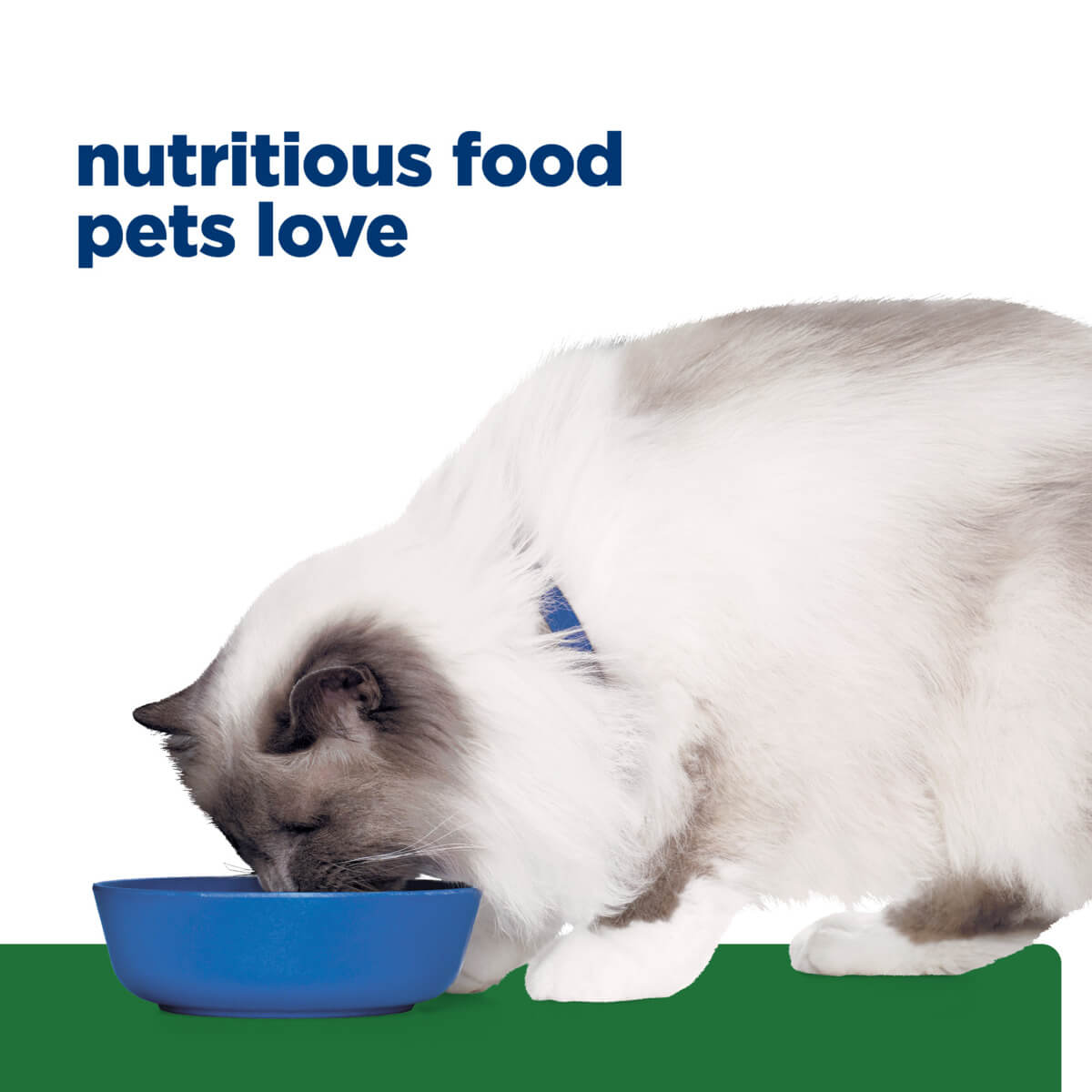 Hill's Prescription Diet R/D Weight Reduction Dry Cat Food